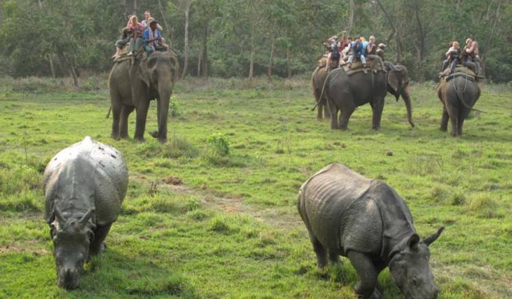 Nepal Tour at Chitwan