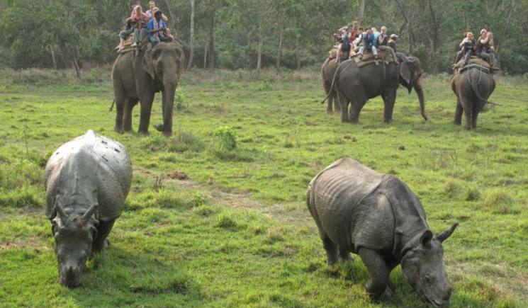 Chitwan Nepal