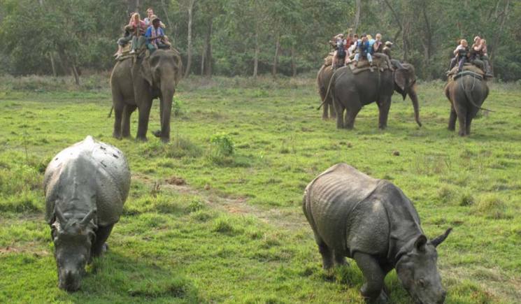 Trekking in Nepal and Tour Chitwan