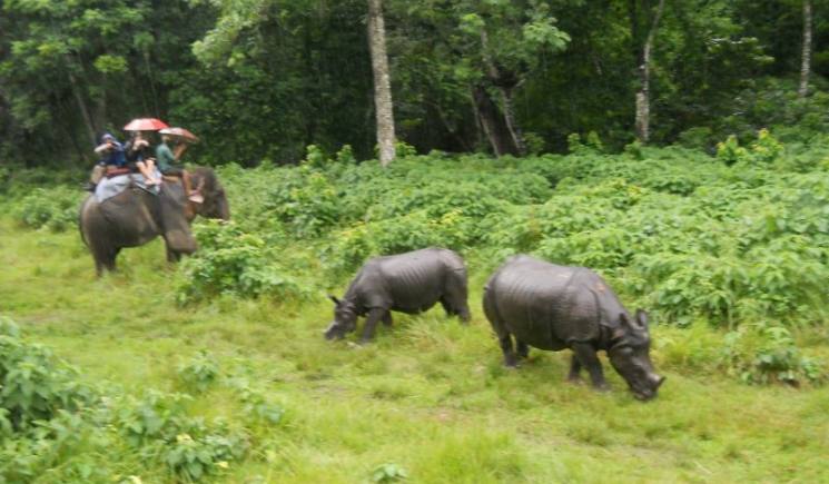 Chitwan National Park