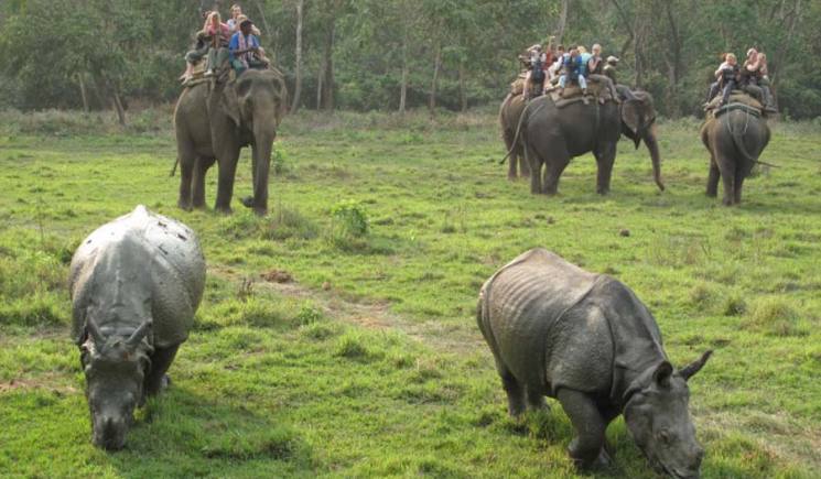 Chitwan was set up  Nepal's first national park. 414m)