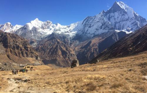 Annapurna Trekking