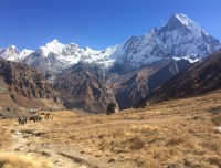 Annapurna Base Camp Trekking