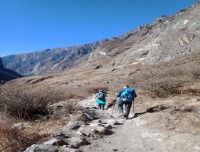 Langtang Trekking