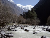 Langtang river 