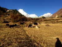 Lo Manaslu - Trekking in Nepal