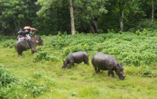 Chitwan National Park