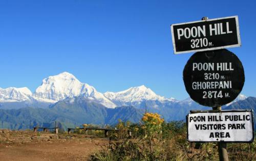 Ghorepani – Poonhill Trekking