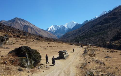 Langtang Gosainkunda  Helambu Trekking